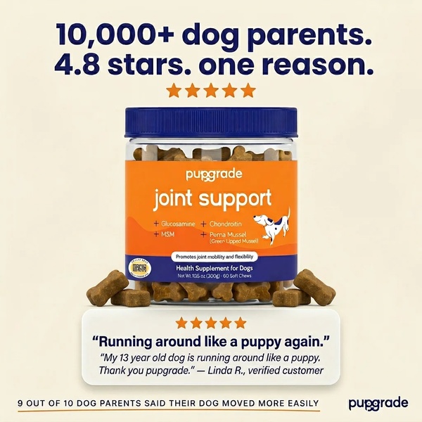 A 1:1 ratio testimonial ad for Joint Support soft chews featuring a star-rating hook and direct customer feedback to build immediate trust.